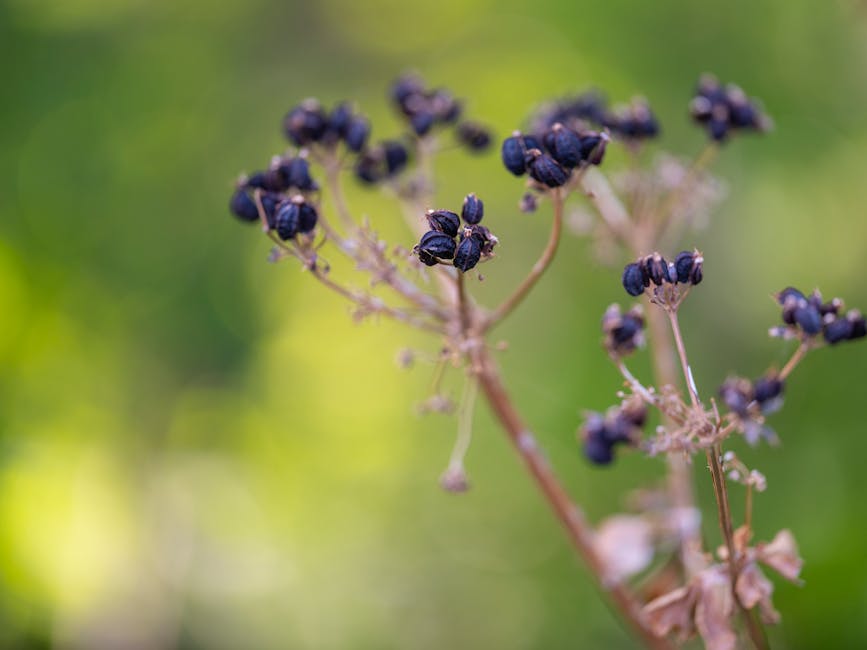 Meraih Peluang Bisnis di Era Transformasi Digital